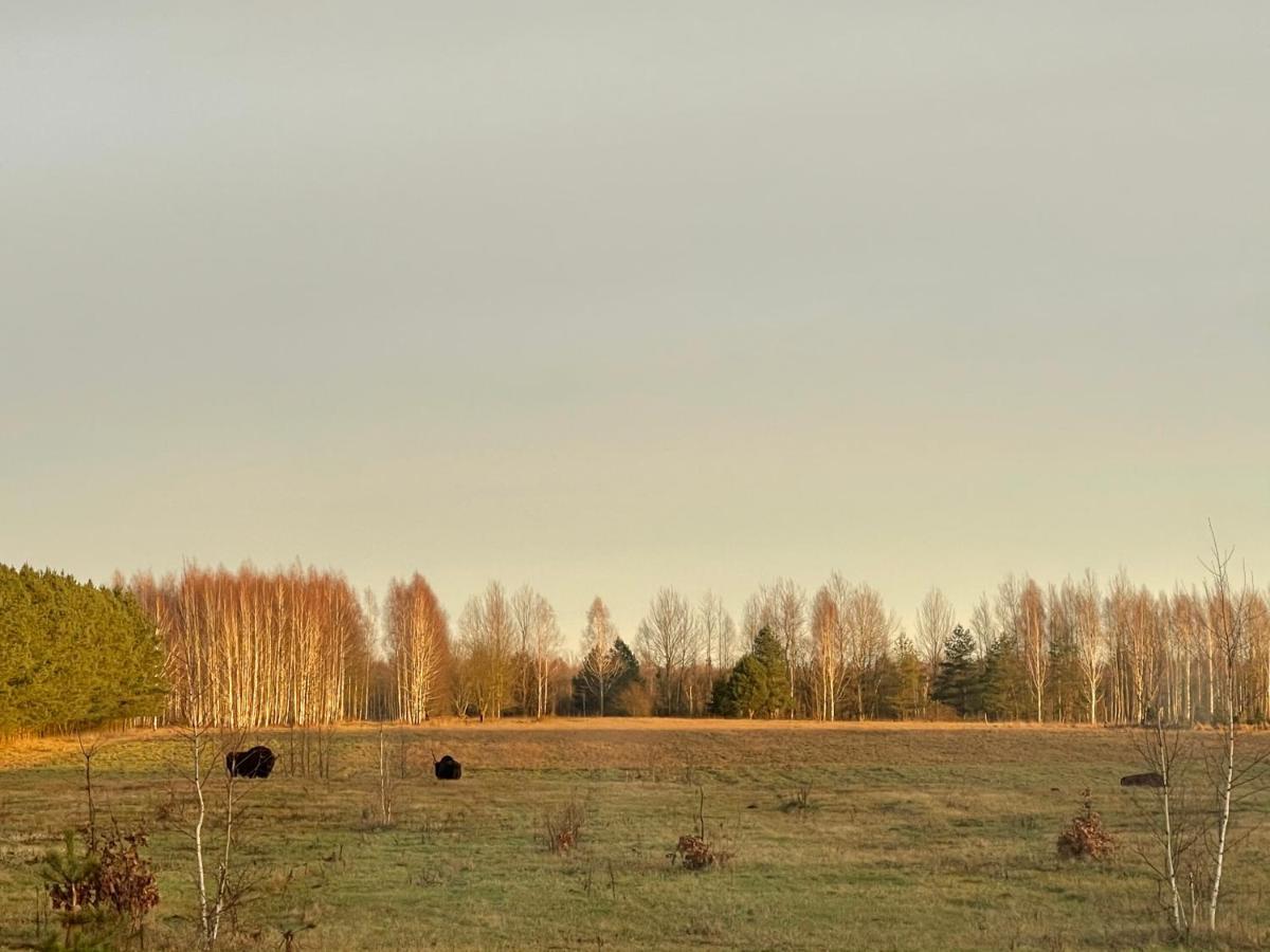 Willa TATANKA Dom w Puszczy Białowieża Zewnętrze zdjęcie